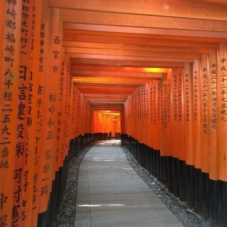 Fushimi Inari -pyhäkkö (Taisha) on kuuluisa oranssinpunaisista porteistaan (torii), jotka on aseteltu käytävien muotoon.